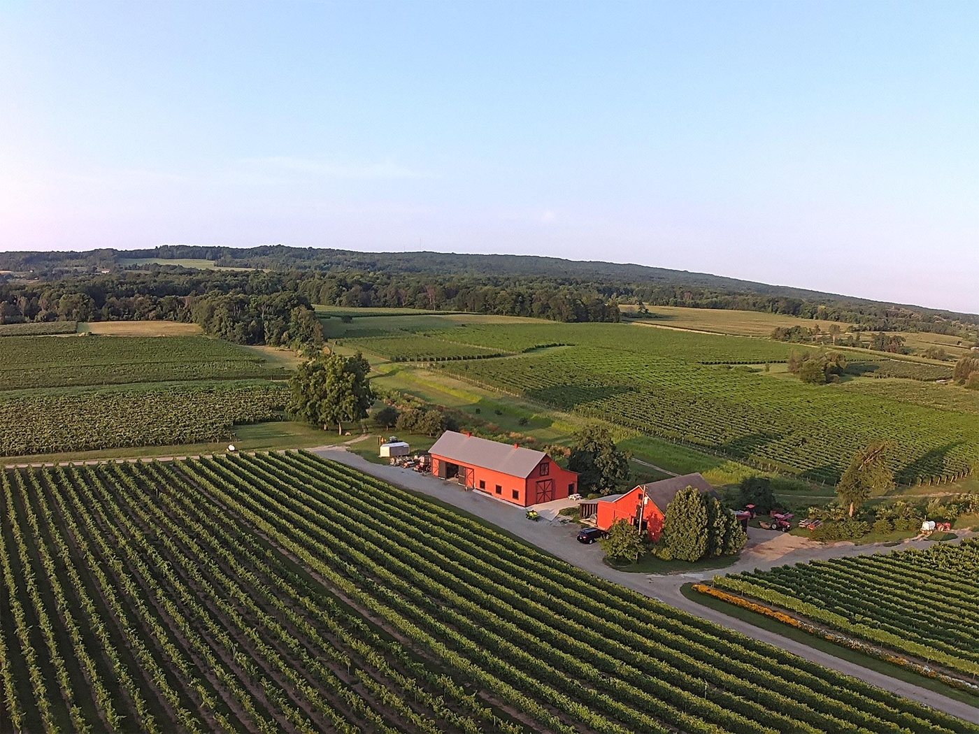 Vineyards and winery buildings at Johnson Estate Winery in Westfield
